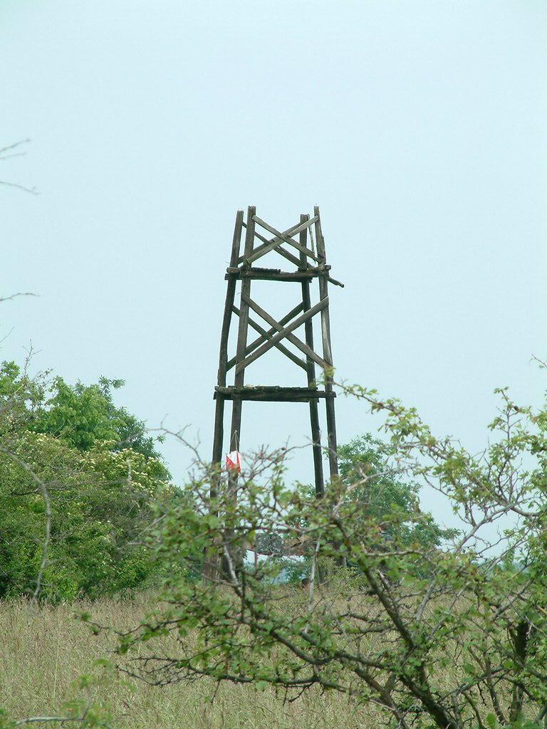 DSCF0291.JPG