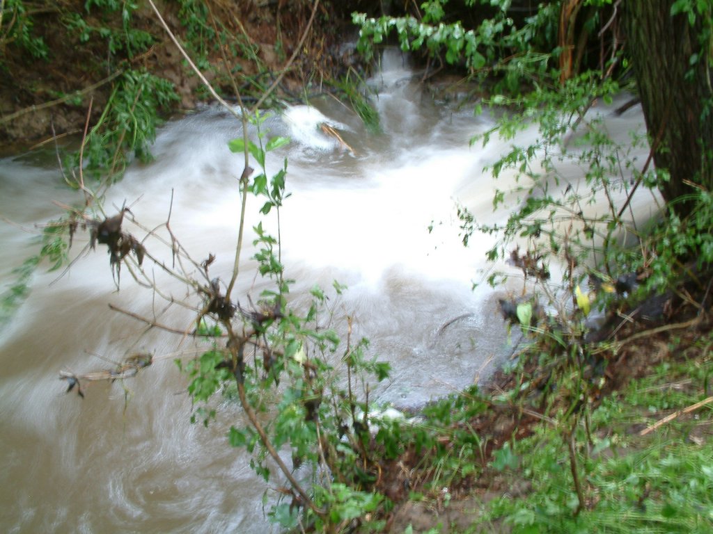 DSCF0294.JPG