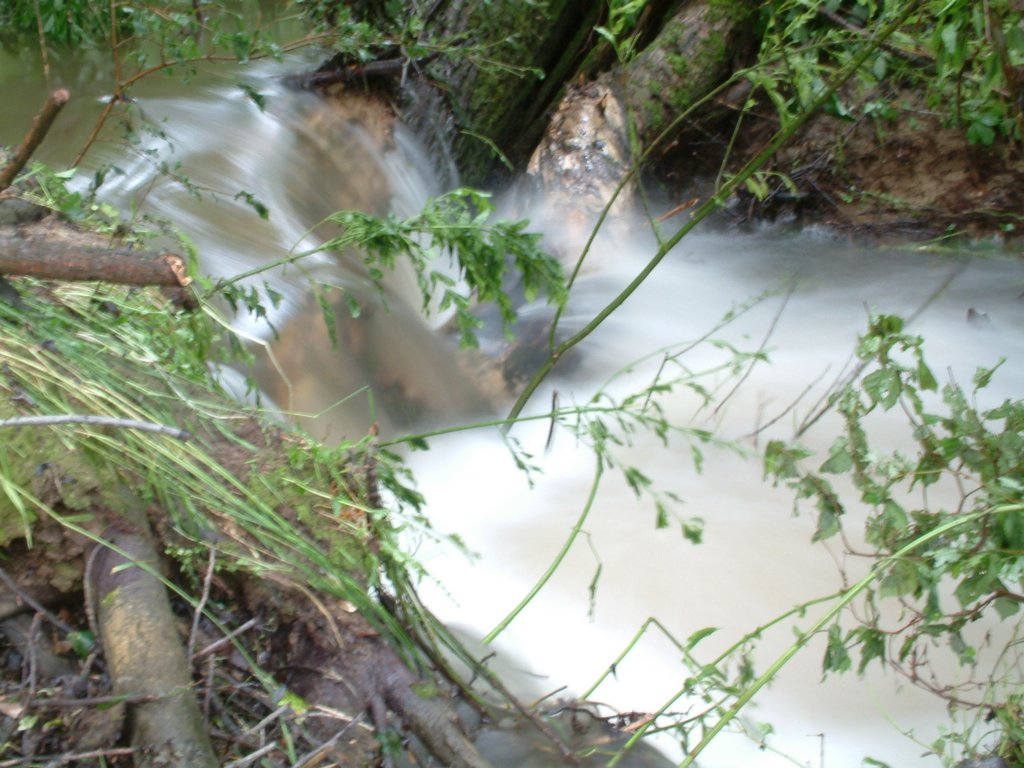 DSCF0296.JPG