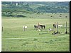 DSCF0182.JPG