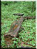 DSCF0188.JPG
