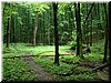 DSCF0206.JPG