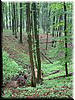 DSCF0210.JPG