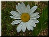 DSCF0212.JPG