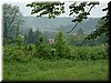 DSCF0220.JPG