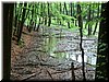 DSCF0230.JPG