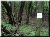 DSCF0232.JPG