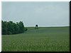 DSCF0233.JPG