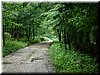 DSCF0234.JPG