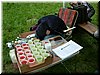 DSCF0236.JPG