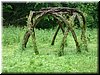 DSCF0237.JPG