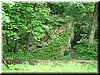 DSCF0238.JPG