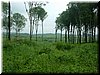 DSCF0248.JPG