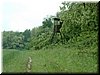 DSCF0250.JPG