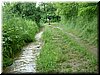 DSCF0253.JPG