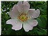 DSCF0264.JPG