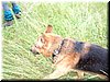 DSCF0290.JPG