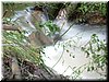 DSCF0296.JPG