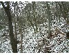 n_dscf0050.jpg