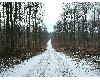 n_dscf0057.jpg