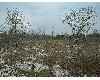 n_dscf0076.jpg