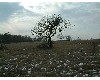 n_dscf0079.jpg