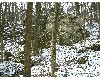 n_dscf0084.jpg