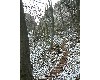 n_dscf0086.jpg