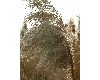 n_dscf0095.jpg