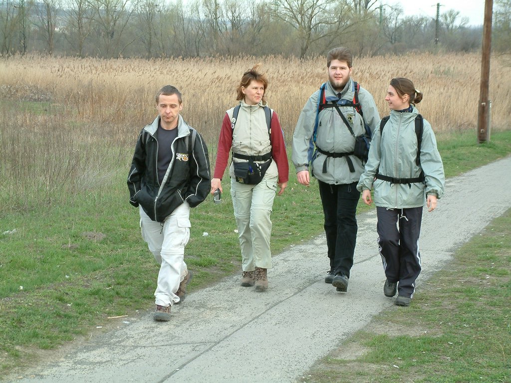 DSCF0146.JPG