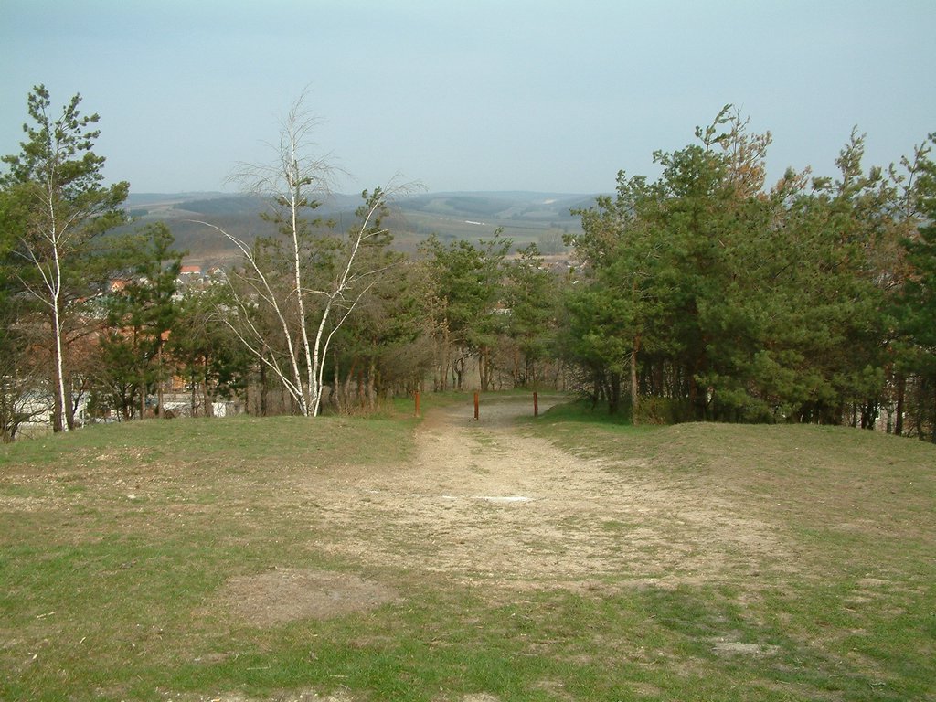 DSCF0150.JPG