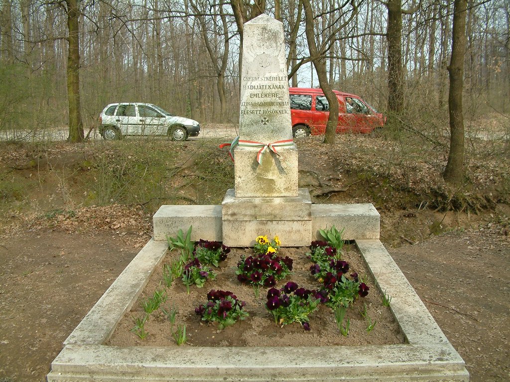 DSCF0159.JPG