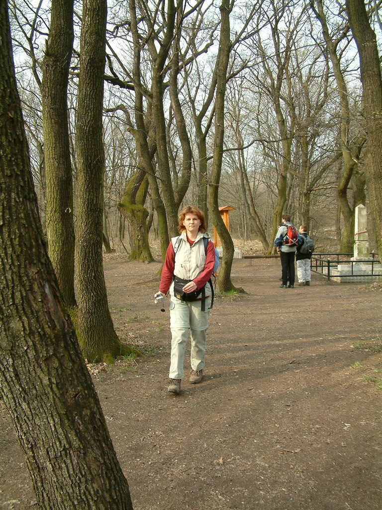 DSCF0160.JPG