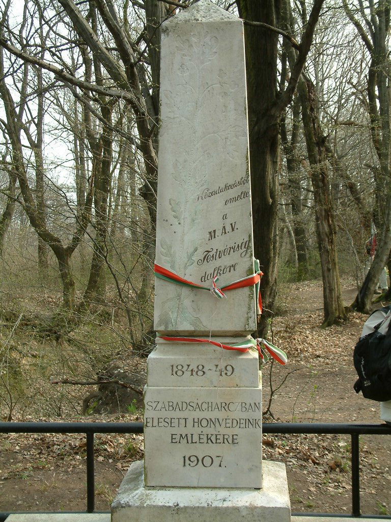 DSCF0162.JPG