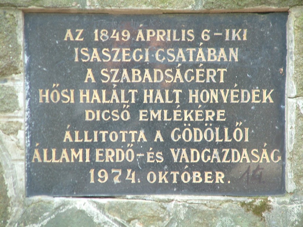 DSCF0163.JPG