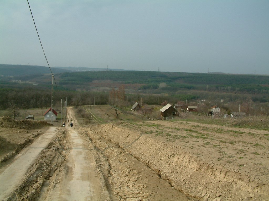 DSCF0165.JPG
