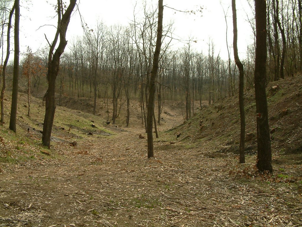 DSCF0167.JPG