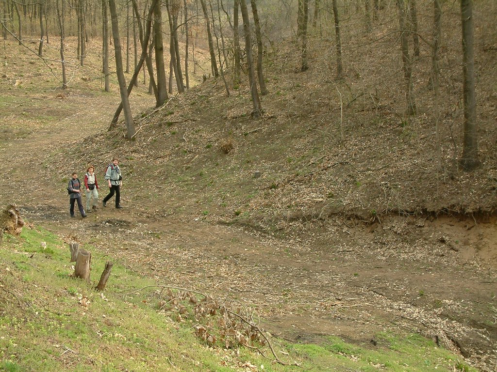 DSCF0171.JPG