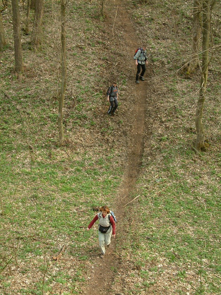 DSCF0174.JPG