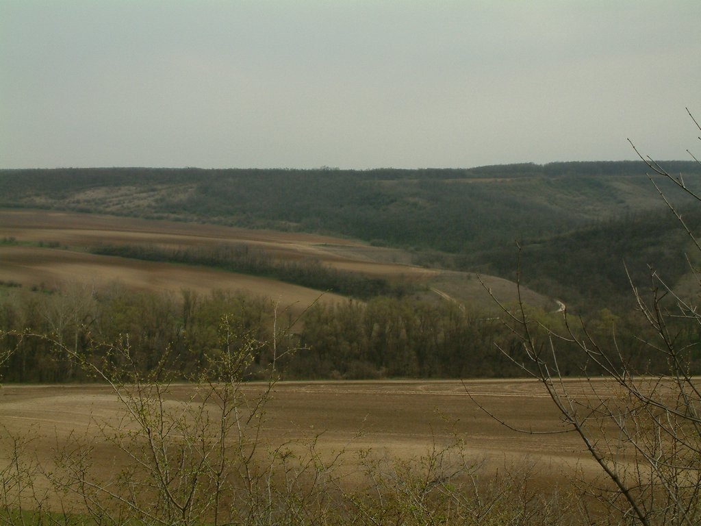 DSCF0177.JPG