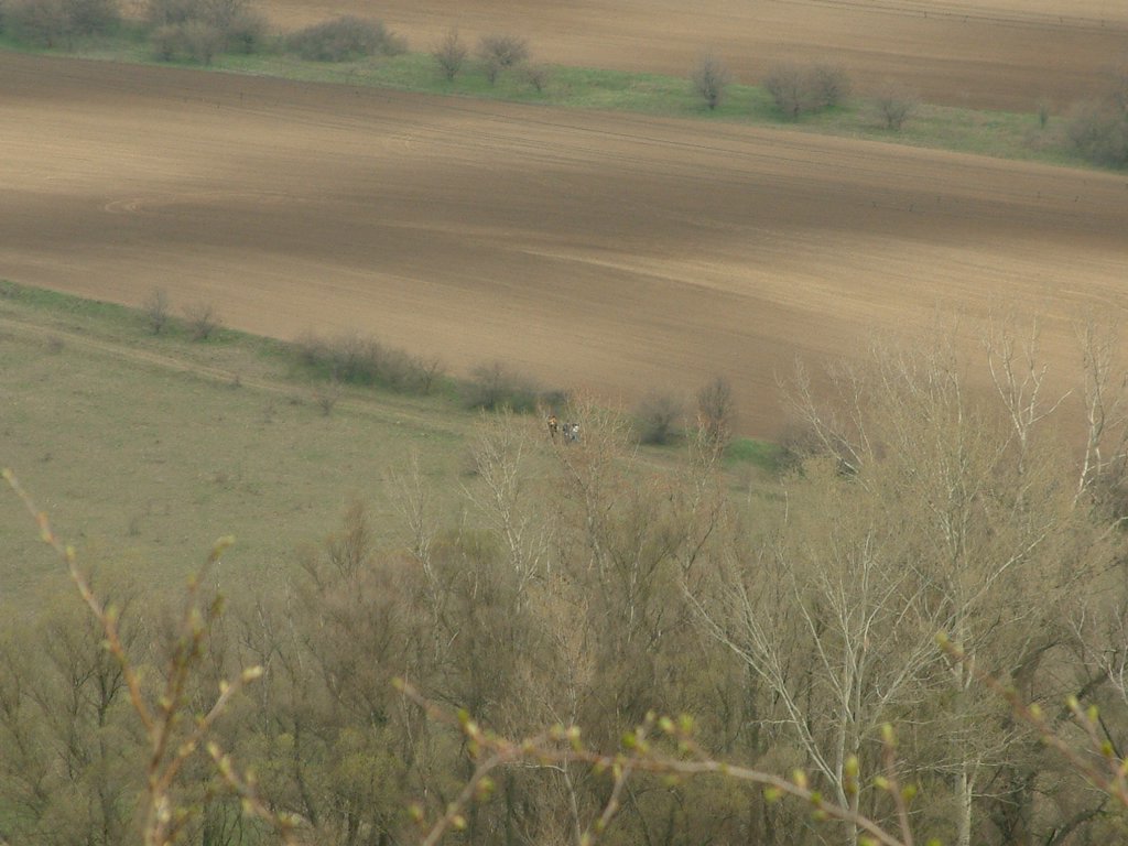 DSCF0178.JPG