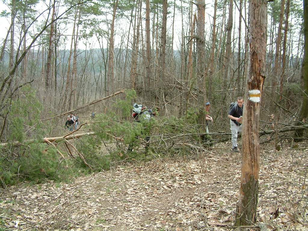 DSCF0182.JPG