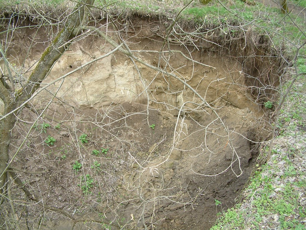 DSCF0186.JPG