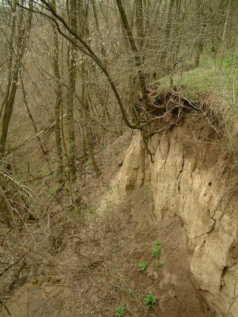 DSCF0187.JPG