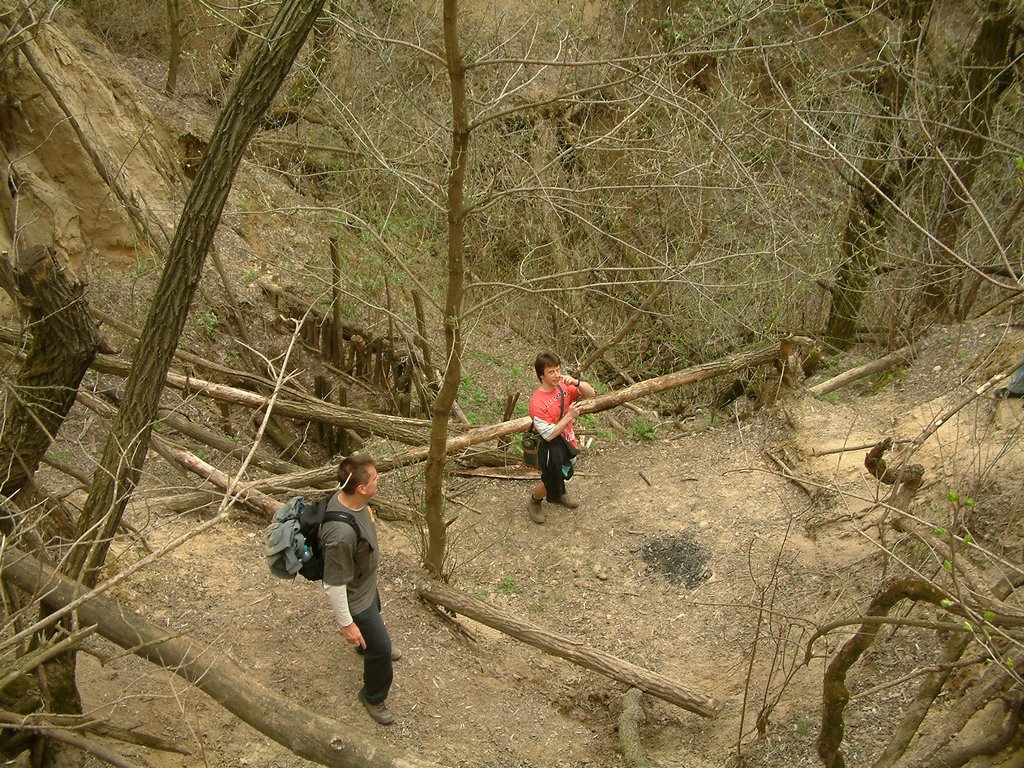 DSCF0188.JPG