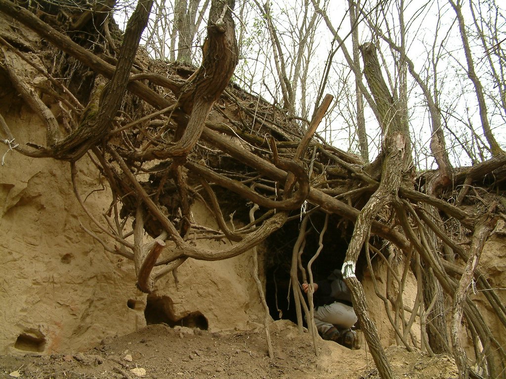 DSCF0190.JPG