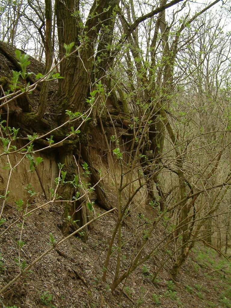 DSCF0192.JPG