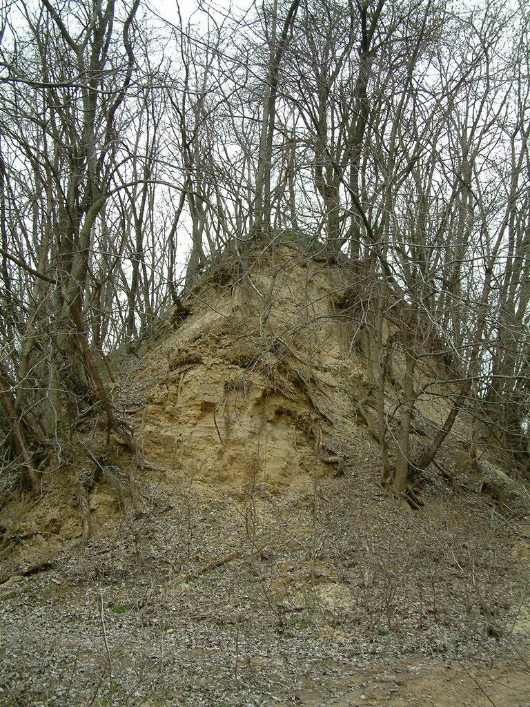 DSCF0196.JPG