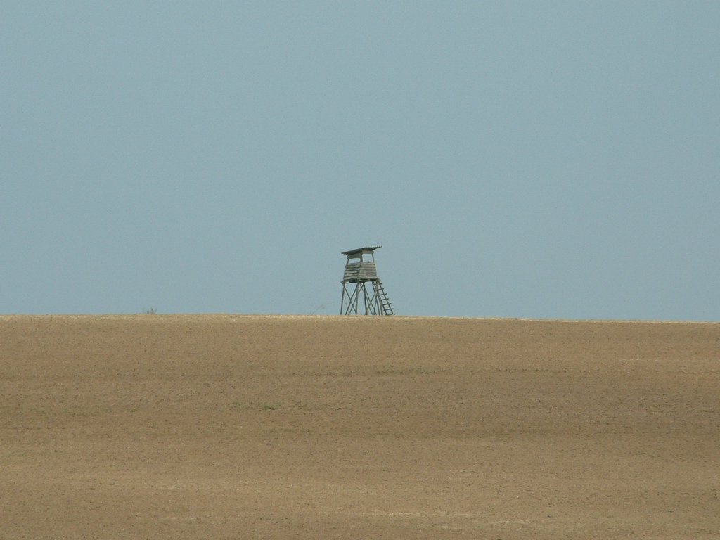 DSCF0198.JPG