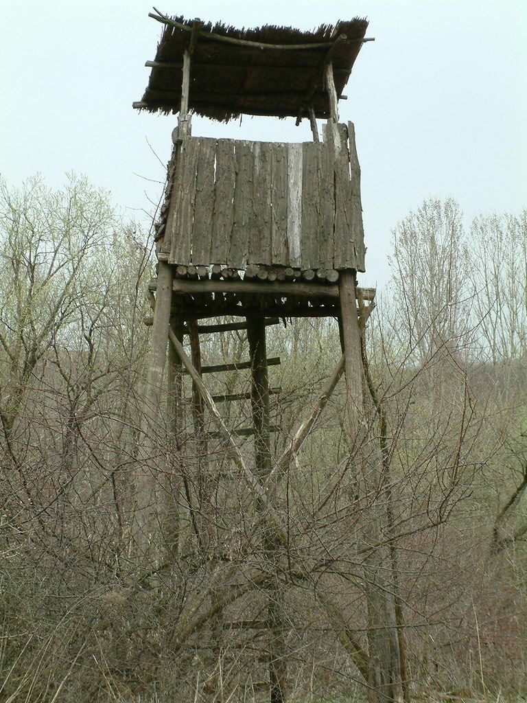 DSCF0199.JPG